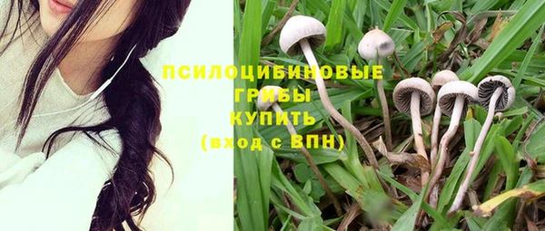 марки nbome Алзамай