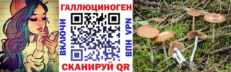 купить   гидра ссылки  Галлюциногенные грибы GOLDEN TEACHER  Ленинск-Кузнецкий 