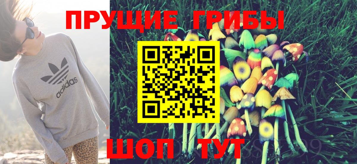 Ленинск-Кузнецкий  Галлюциногенные грибы Psilocybe  Вход с VPN 