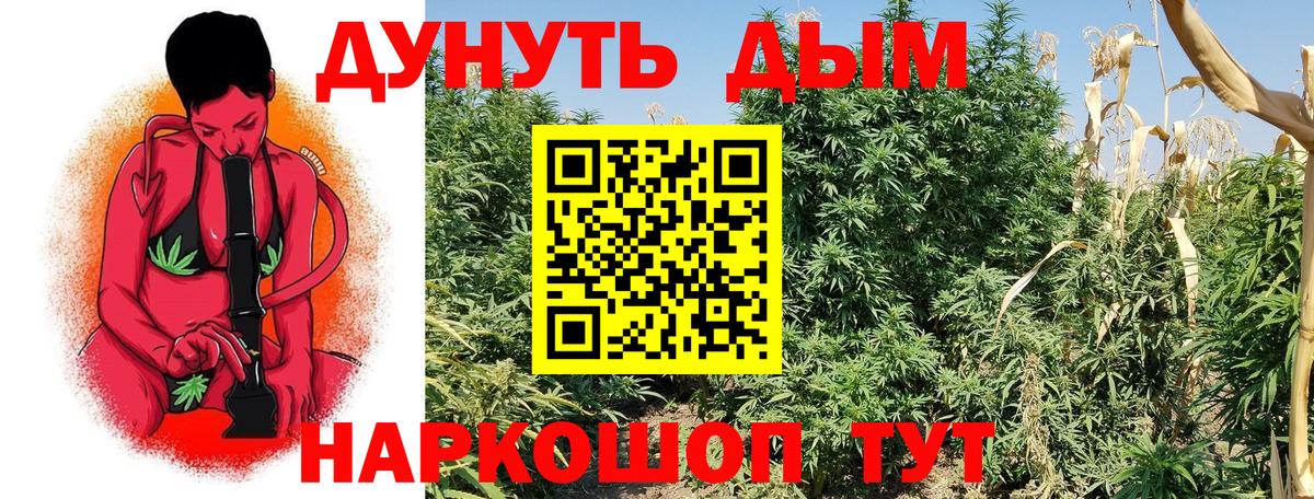 Бошки марихуана тримм  Вход с VPN  Шишки марихуана семена  Ленинск-Кузнецкий  Бошки Шишки SATIVA & INDICA  МАРИХУАНА индика 